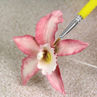 Fine Craft Brushes PME 5 st