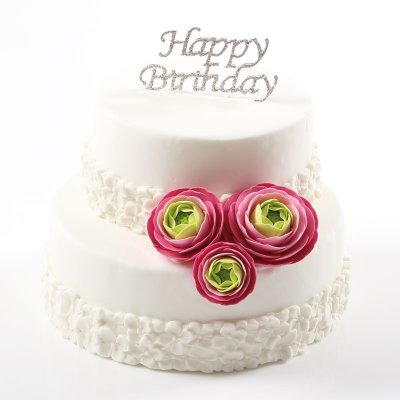 Zoom bild av Ranunkel rosa